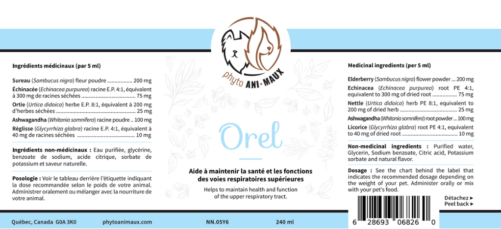 OREL (Système respiratoire, système immunitaire)