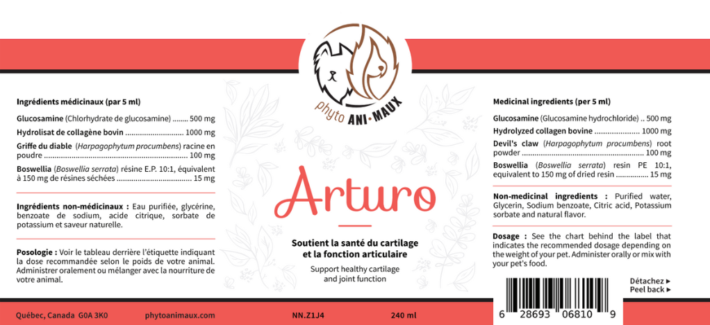 ARTURO (Articulations)